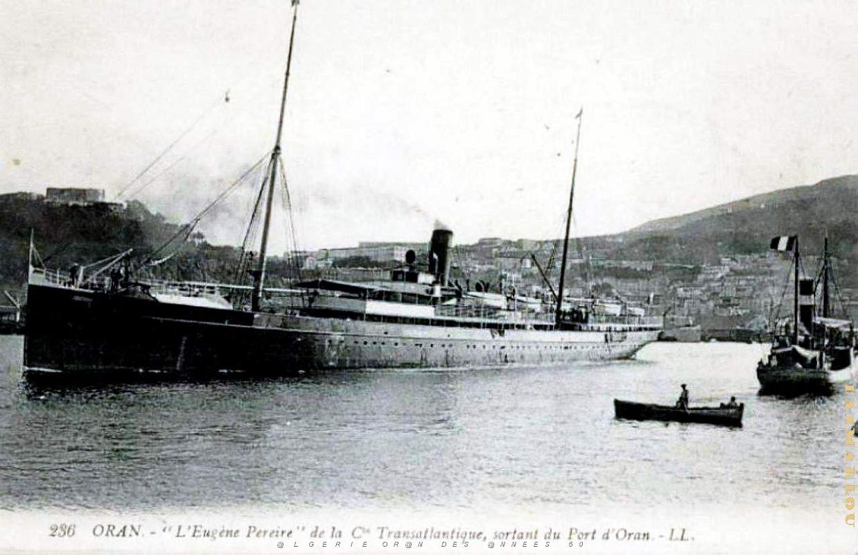 PO e- 331.jpg